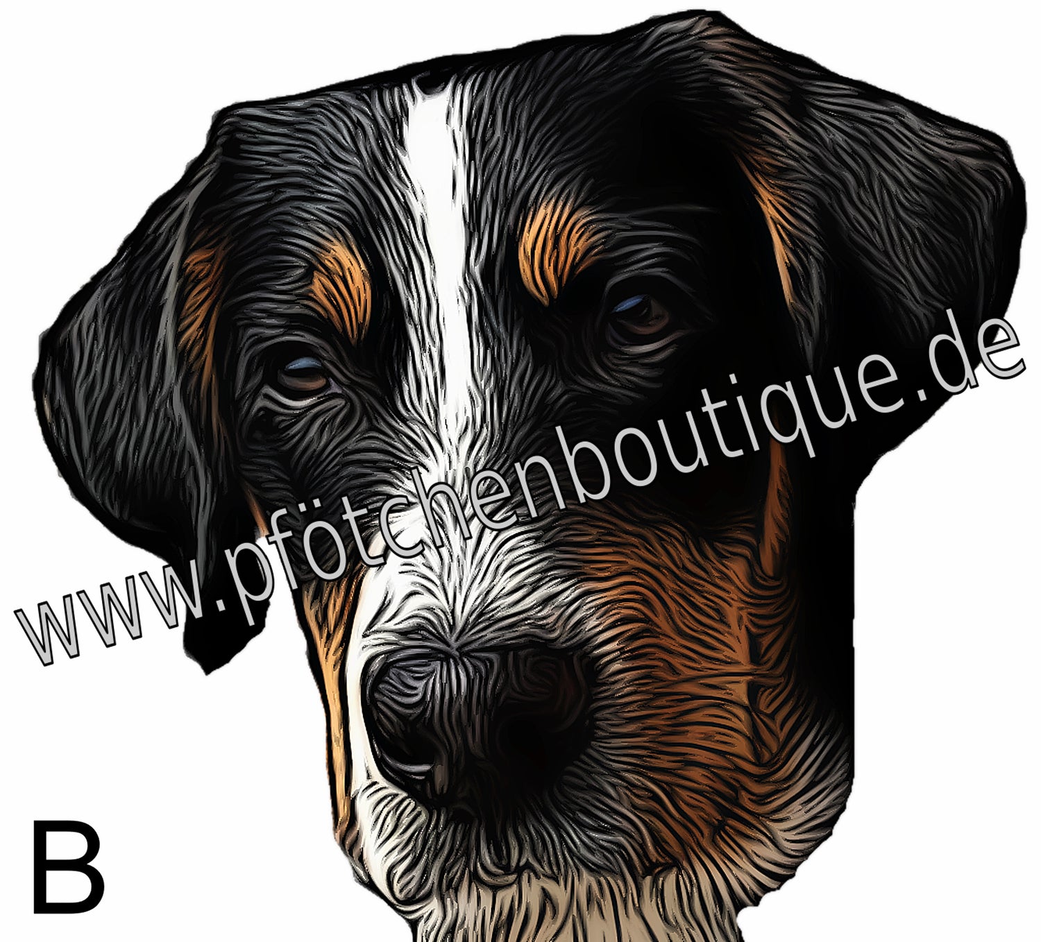 Schweizer_Sennenhund_B.jpg